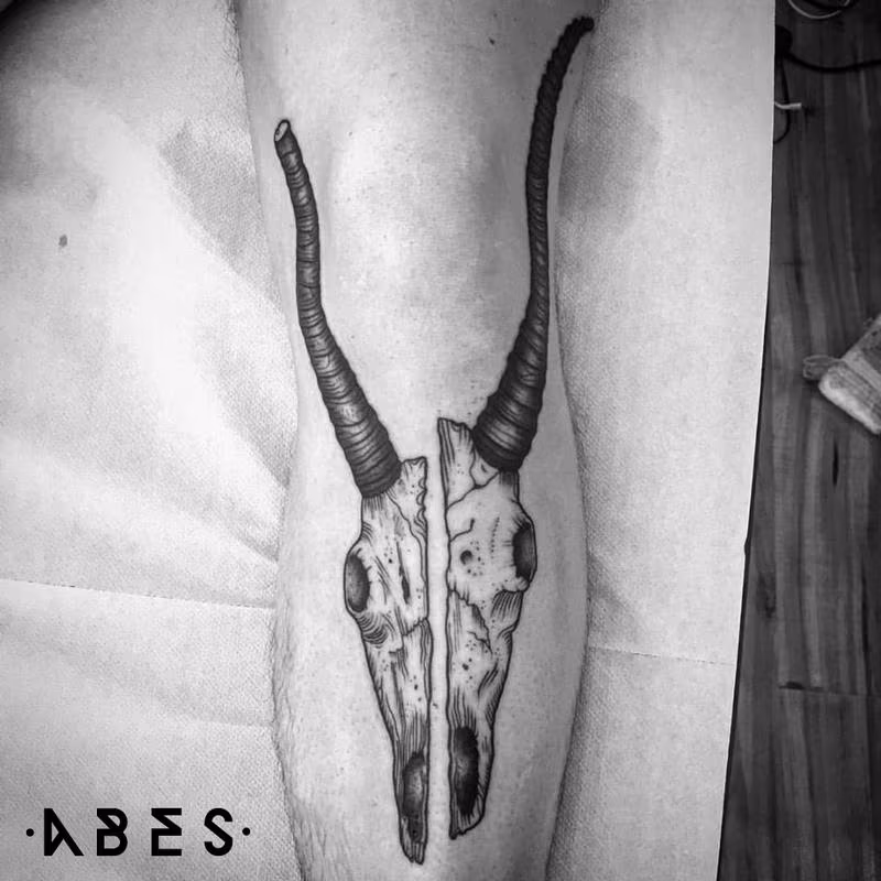 goat skull