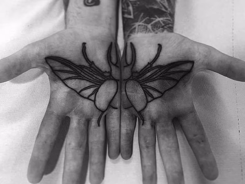 insect palm