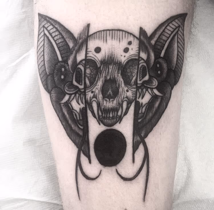 bat skull