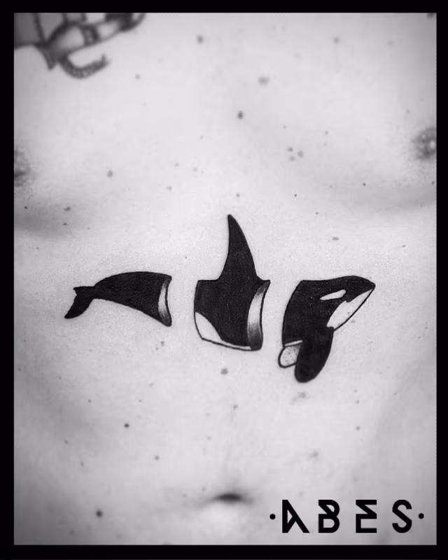 devided kiler whale