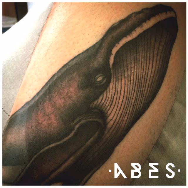 whales