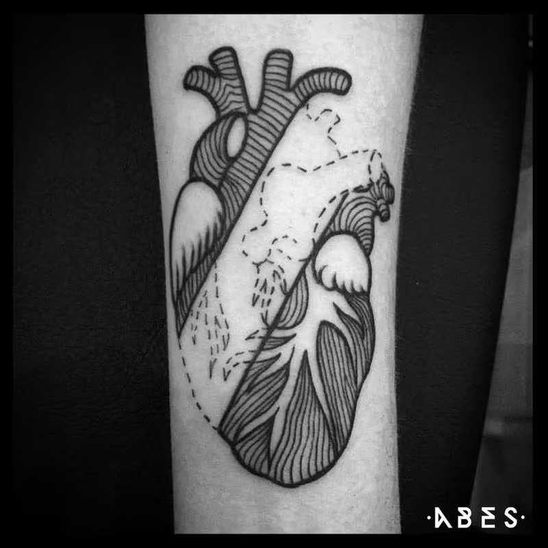 heart divided