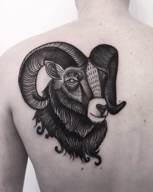 ram