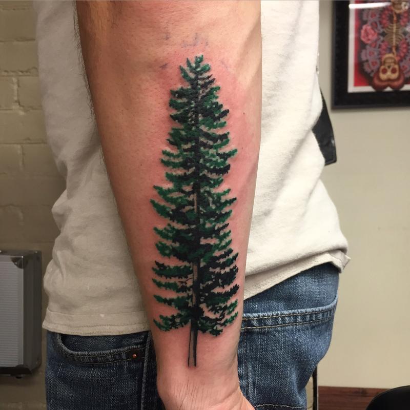 Pine tree