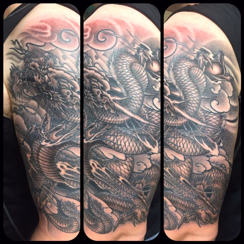 Dragon sleeve