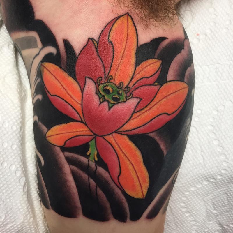Lotus