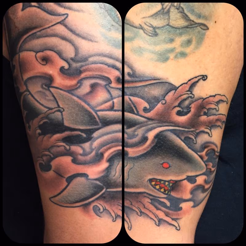 Shark