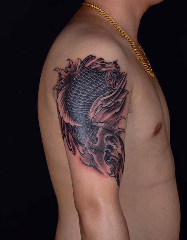 Black and Grey Fat Koi Fish with Waves