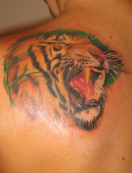 Tiger