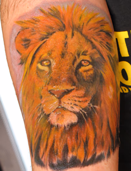Lion!