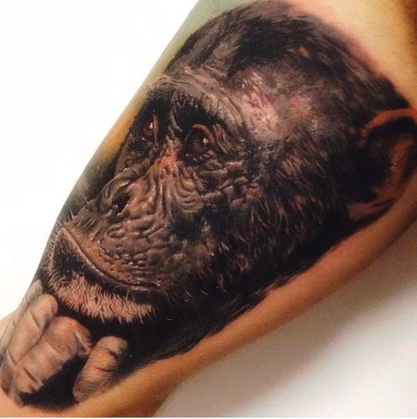 Monkey Tattoo