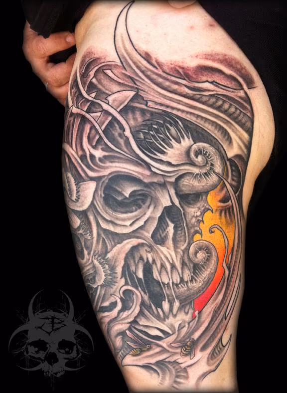 Skull and Bio