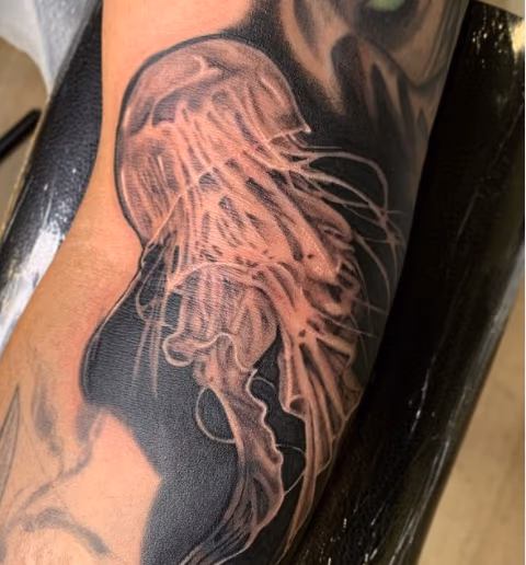 Anna Mia Jelly Fish