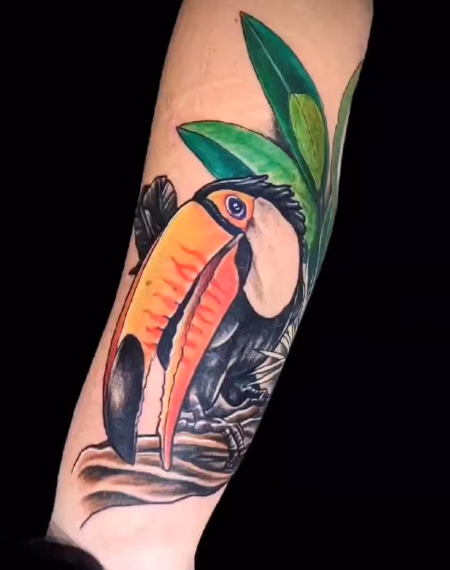 Marcus Judd Toucan