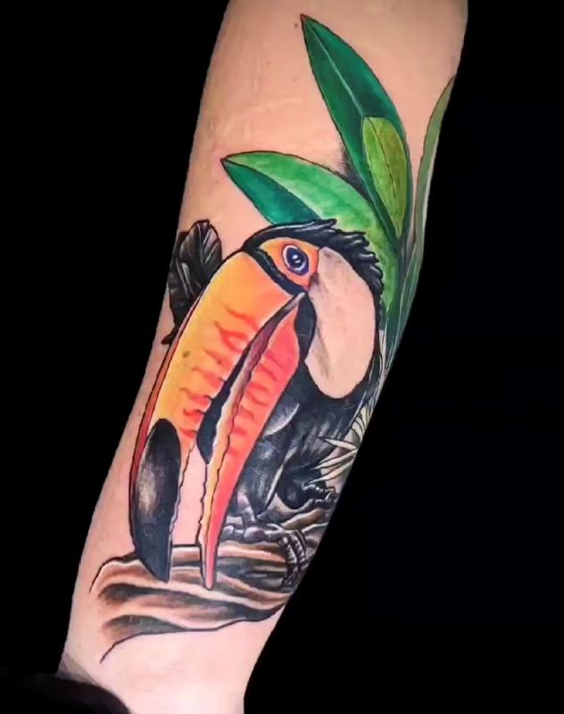 Marcus Judd Toucan