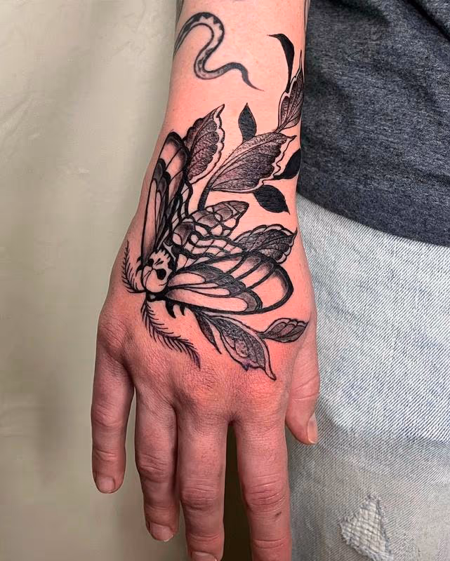 Moth