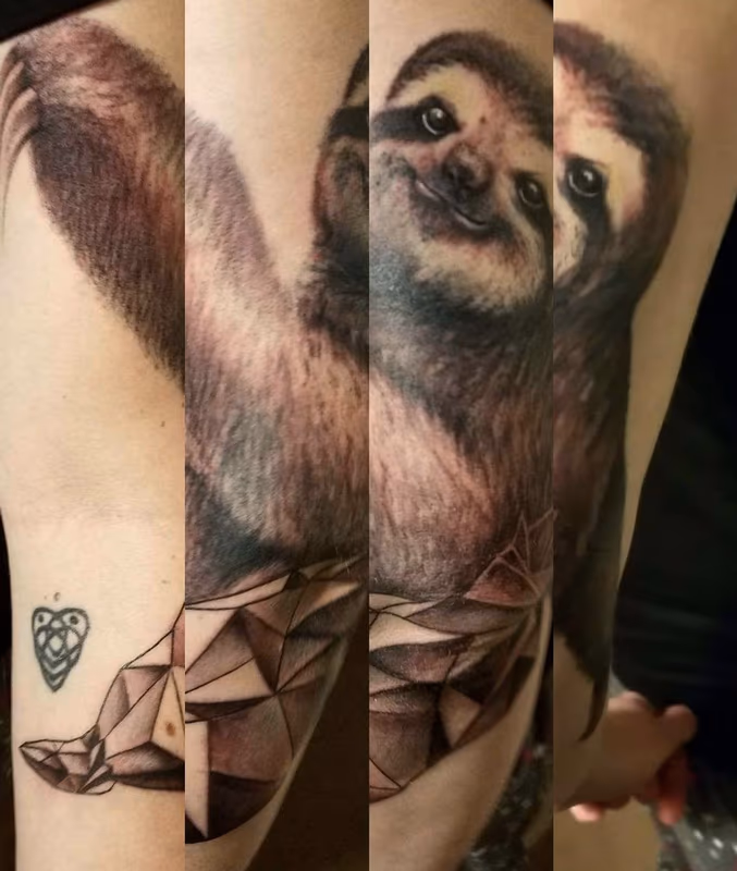 Marcus Judd Geometric Sloth