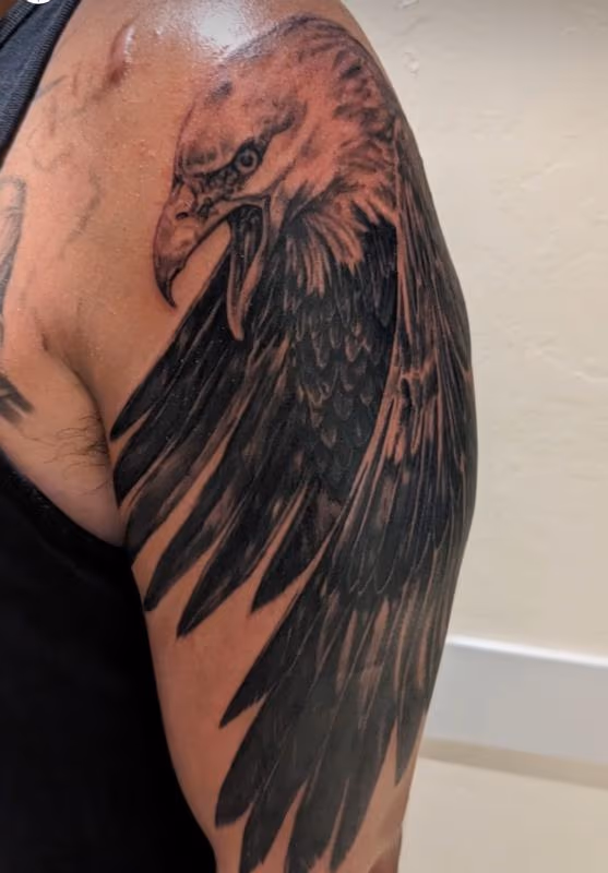 Black and Grey Realsm Eagle