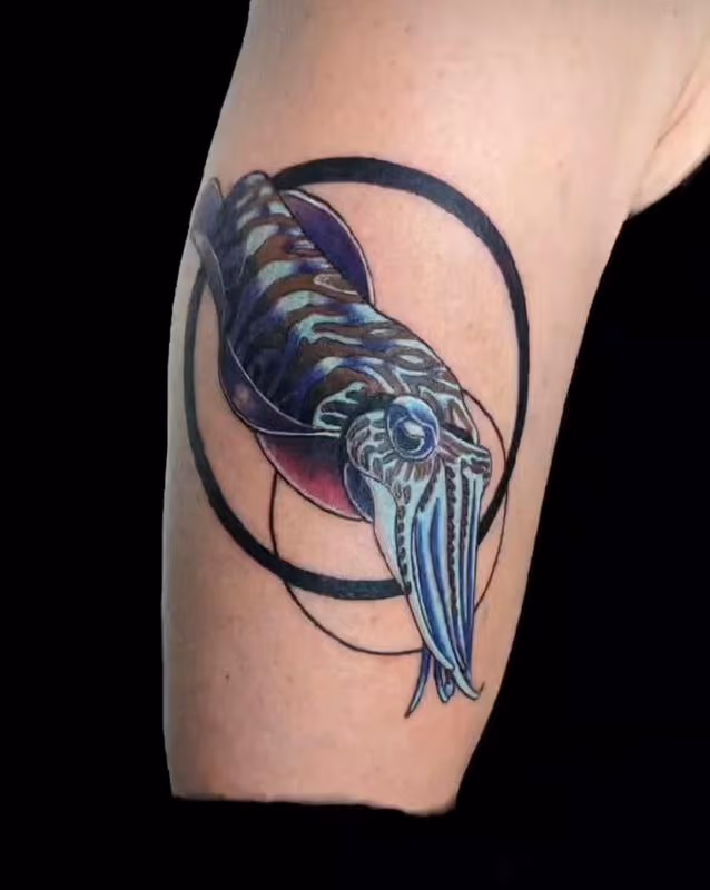 Marcus Judd Squid