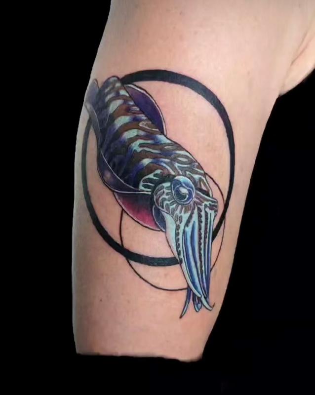 Marcus Judd Squid