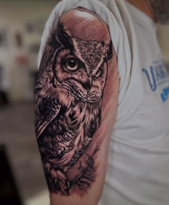 Black and Grey Realism Owl