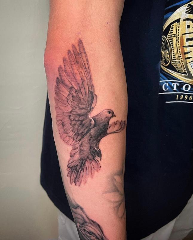 Black and Grey Dove