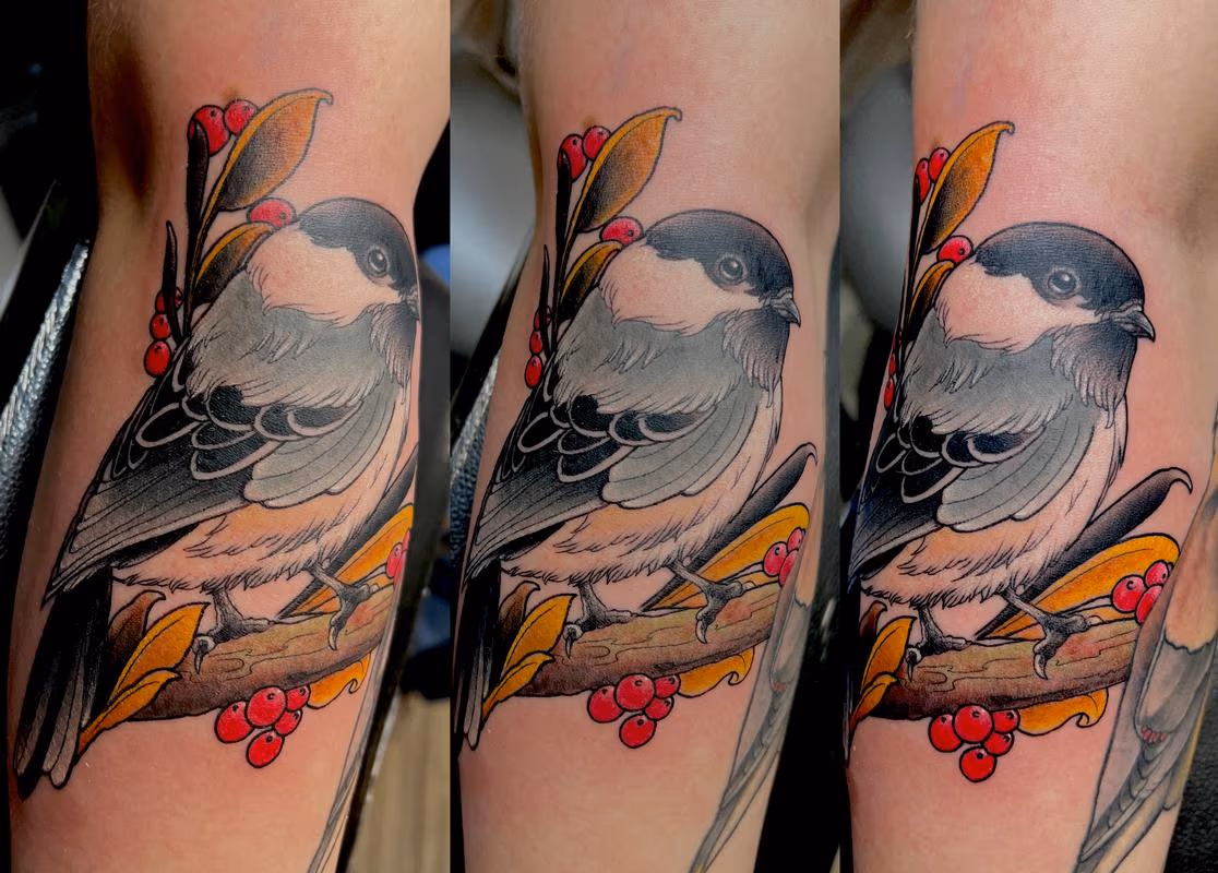 Birds by Irish Chris