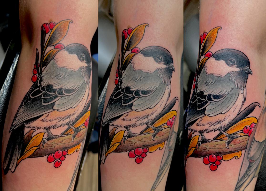 Birds by Irish Chris