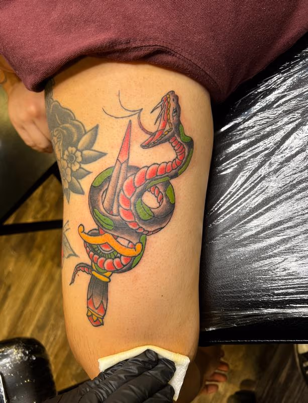 Traditional Color Snake & Dagger