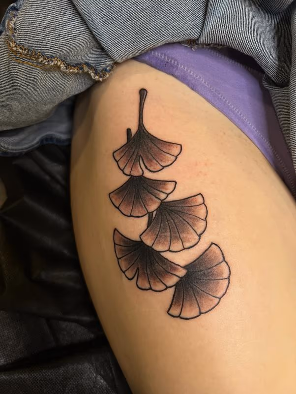 Ginkgo's
