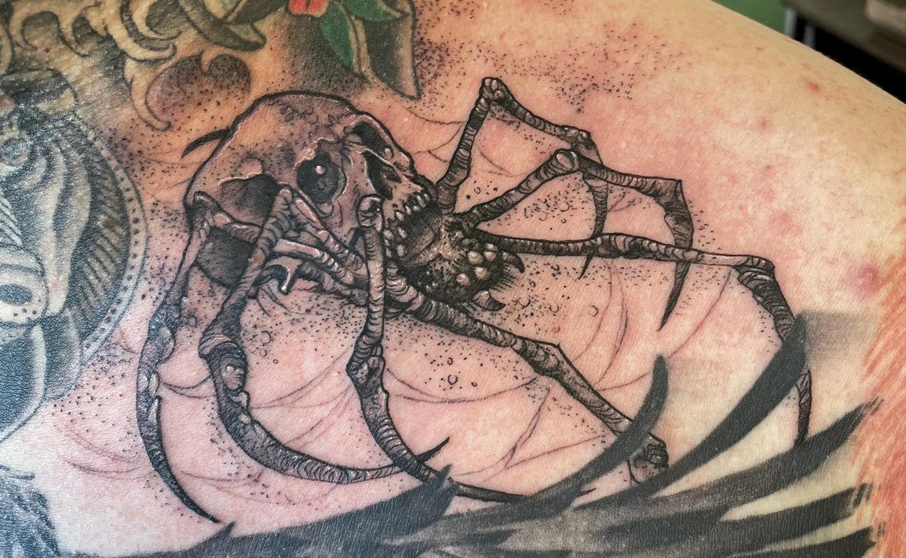 Spider