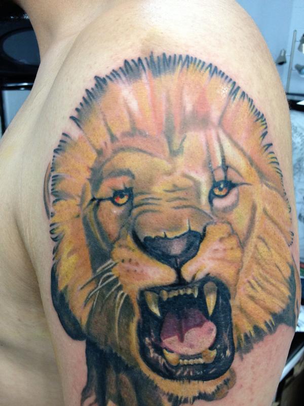lion