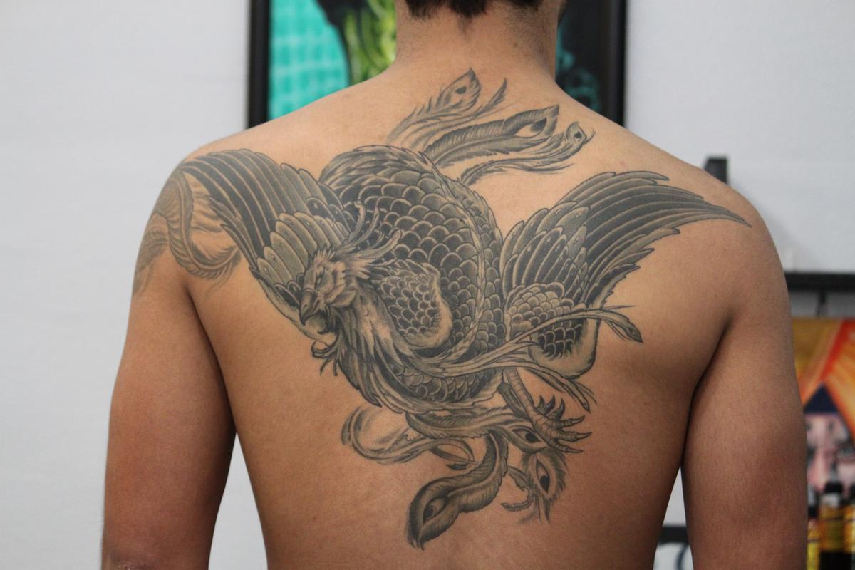 Black and Grey Phoenix