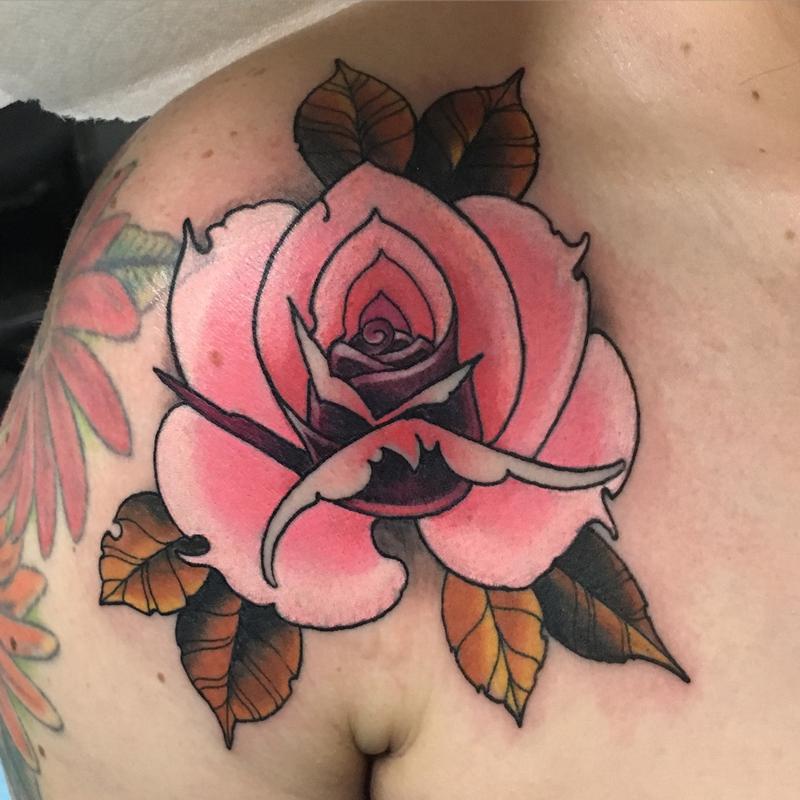 Pink rose