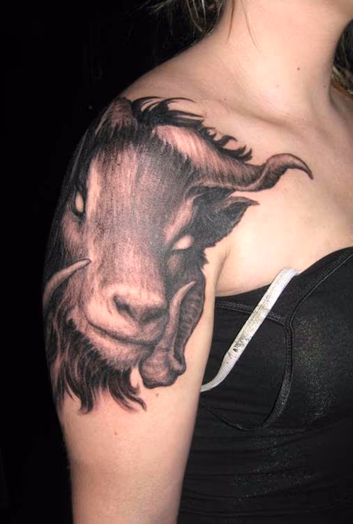 Horned ram tattoo