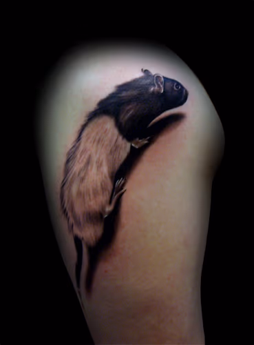 RaT