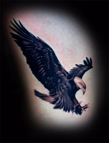 Eagle.