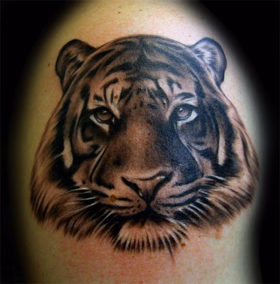 Realistic Tiger