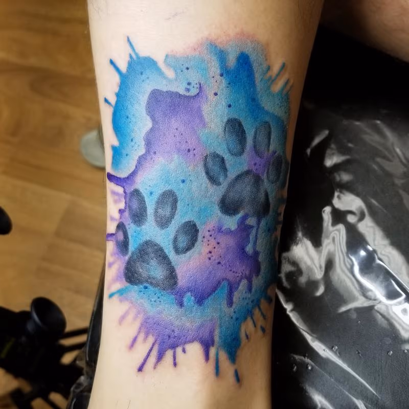 Splish splash paw prints