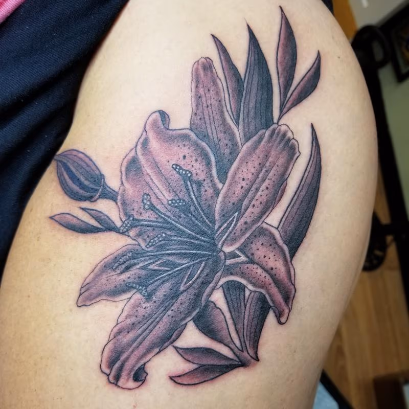 Lily noir