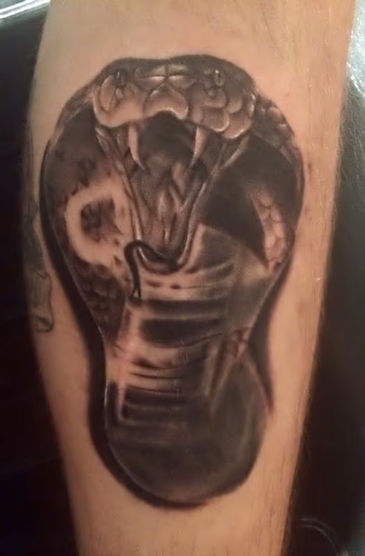 Cobra