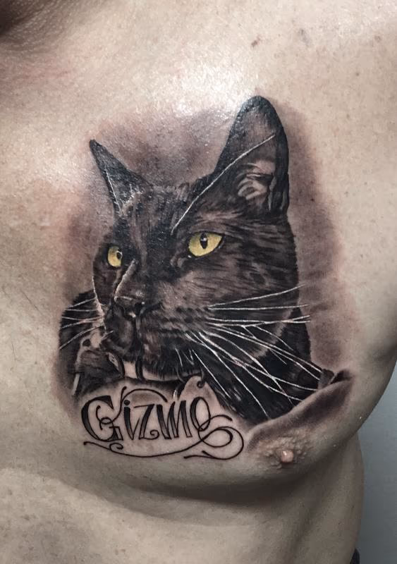 Gizmo