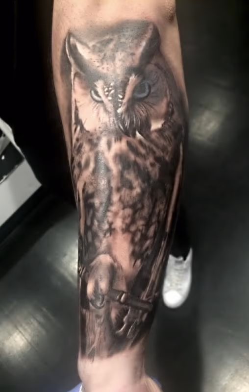 Owl holding Key