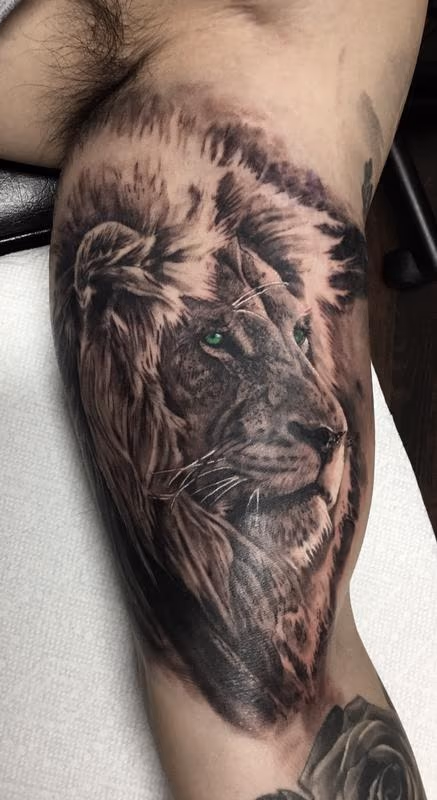 Lion