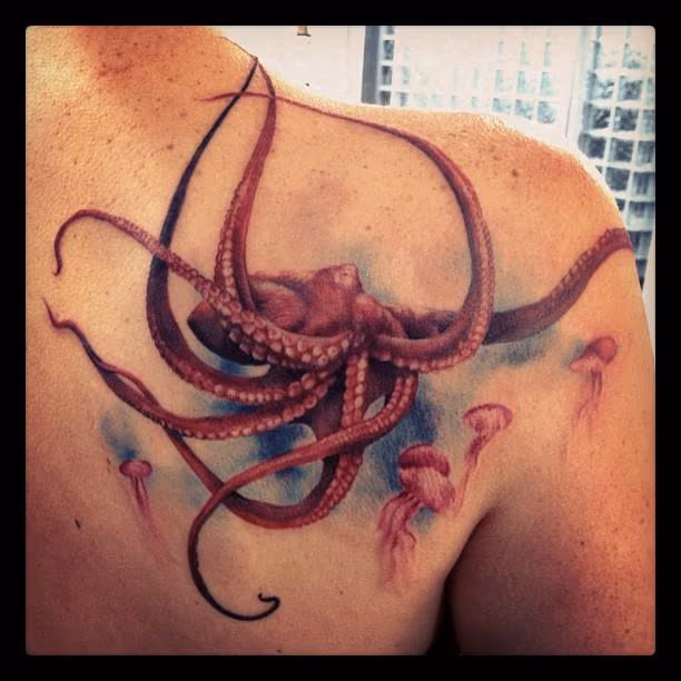 Octopus