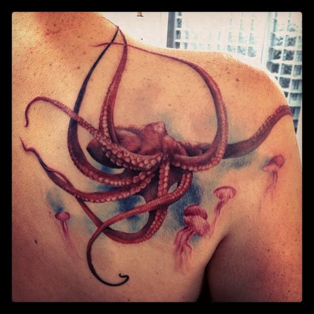 Octopus