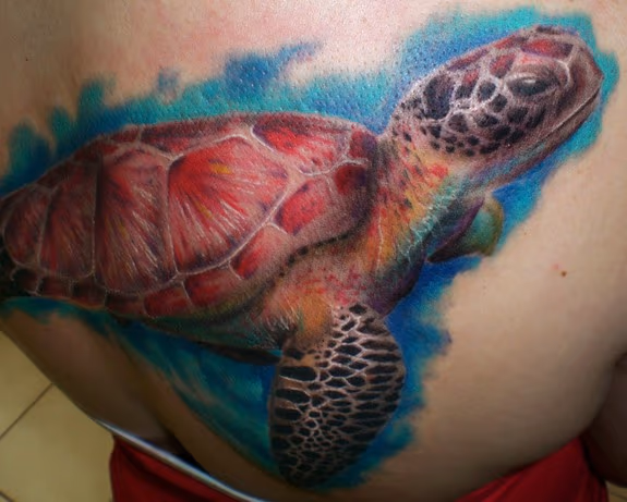 Sea Turtle Portrait