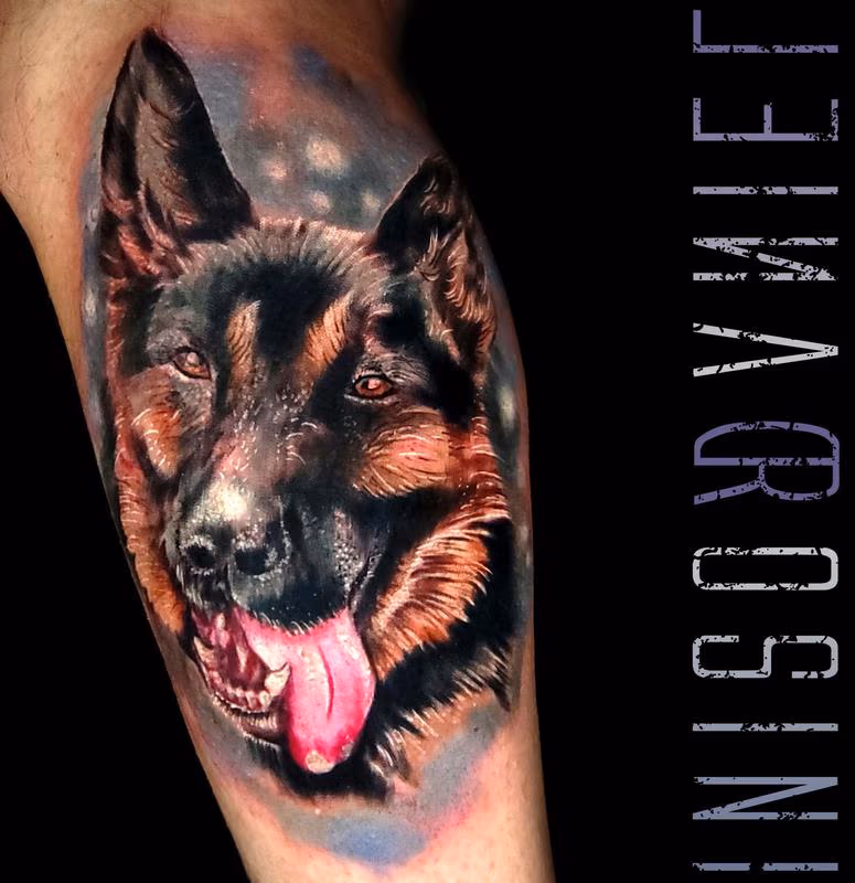German Shepherd Portrait