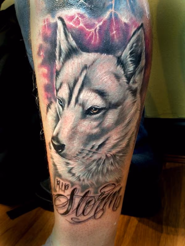 husky