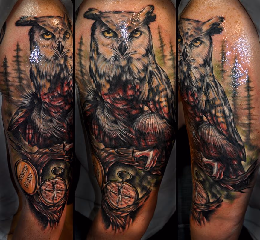 owl